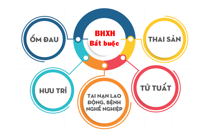 5 chế độ BHXH bắt buộc.